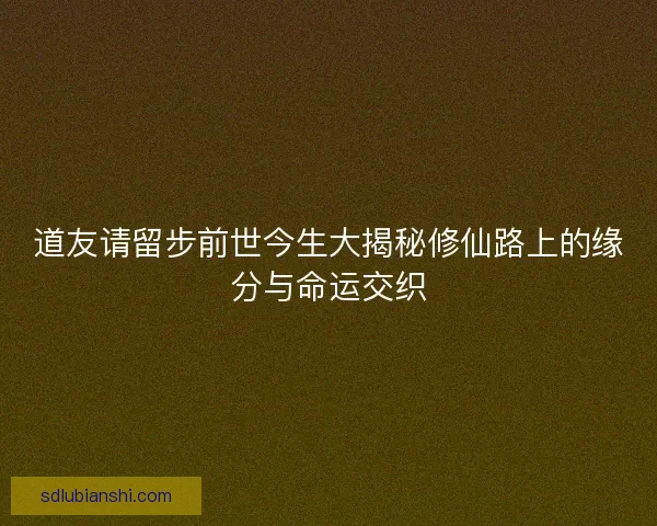 道友请留步前世今生大揭秘修仙路上的缘分与命运交织