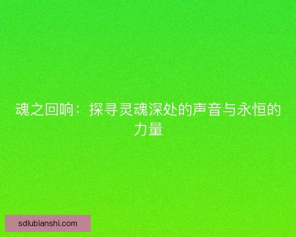 魂之回响：探寻灵魂深处的声音与永恒的力量