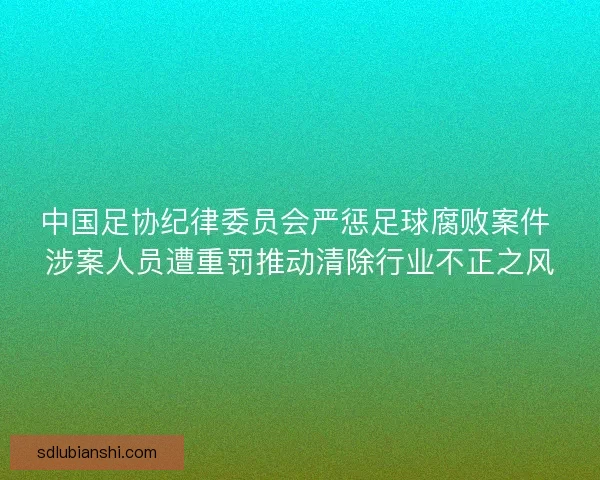 中国足协纪律委员会严惩足球腐败案件 涉案人员遭重罚推动清除行业不正之风