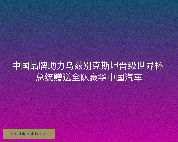 中国品牌助力乌兹别克斯坦晋级世界杯 总统赠送全队豪华中国汽车